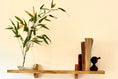 Load image into Gallery viewer, Slim Floating Shelf - Apex Bespoke Carpentry